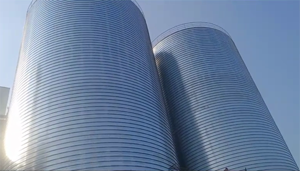 定远2座混凝土高架卷板仓